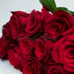 Rosa Vermelha (Unidade)