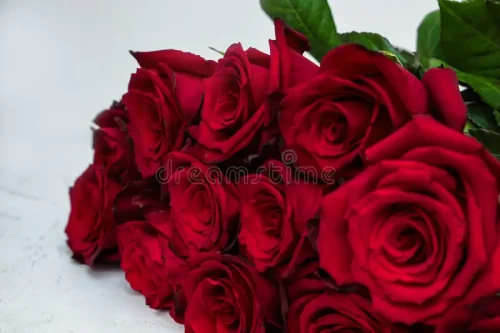 Rosa Vermelha (Unidade)